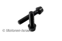 Aluminum screw R80/100 for chain case/light engine/oil pan